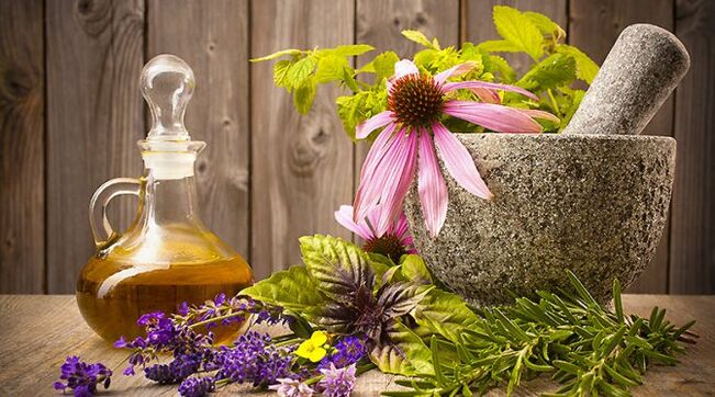 traditional herbs for rejuvenation
