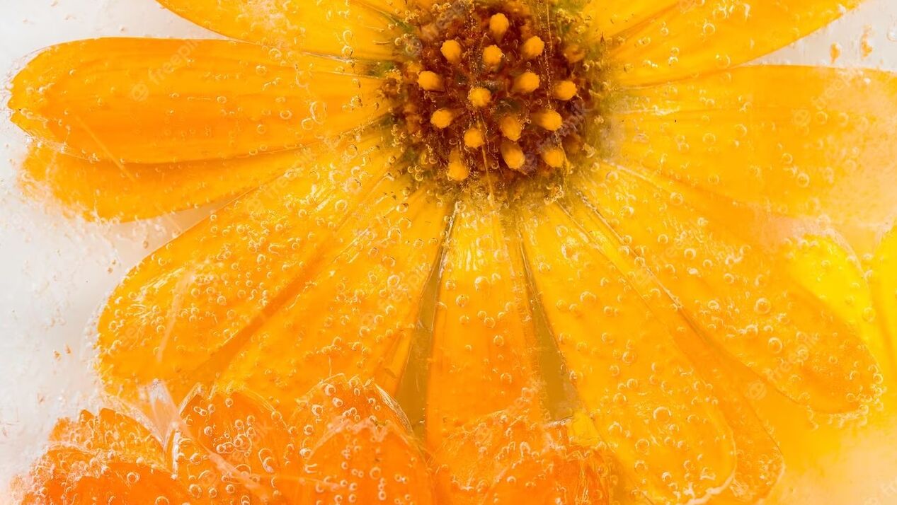 Calendula officinalis is a universal plant that is suitable for all skin types. 