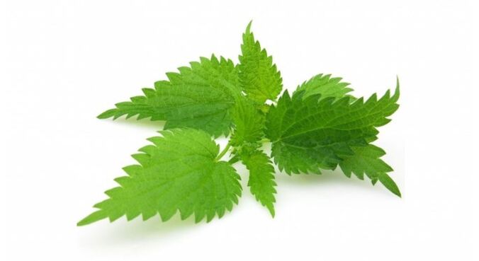Nettle will eliminate acne and increase skin elasticity